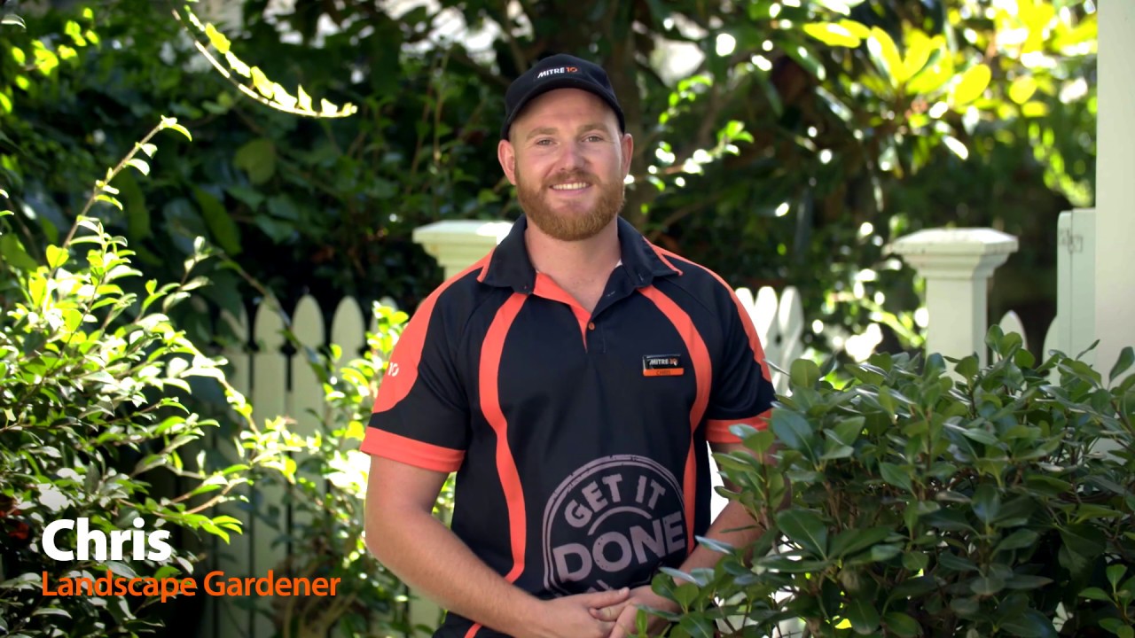 Autumn Clean Up | Mitre 10 Easy As Garden