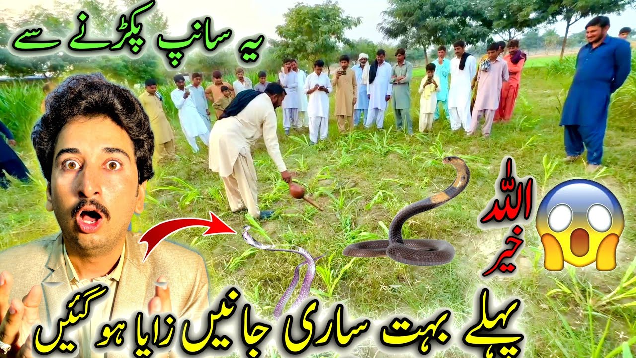 Ya Sanp Pakrny Say Phyly Bhot Sari Janin Zaya Ho Chuki Hain 😱😳Dengrus Snake🐍