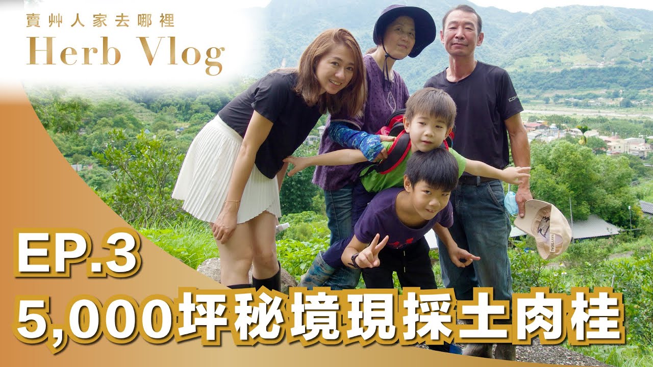 台中深山秘境產地旅行，全台灣第七大的土肉桂樹！Herb Vlog EP03｜賣艸人家