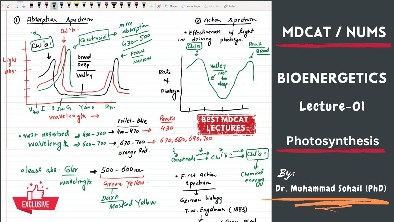 MDCAT | NUMS | Bioenergetics | Lecture-01 | Introduction