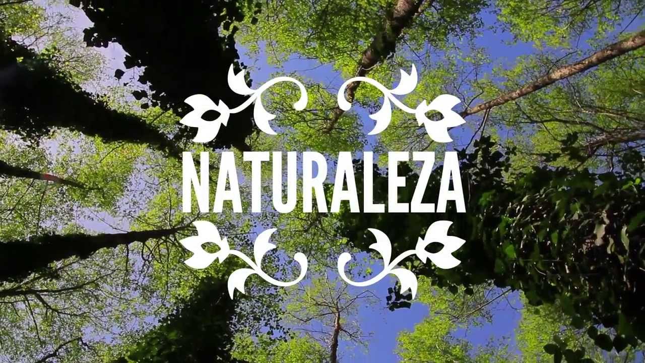 &iquest;Qu&eacute; es para ti el Valle del Jerte?