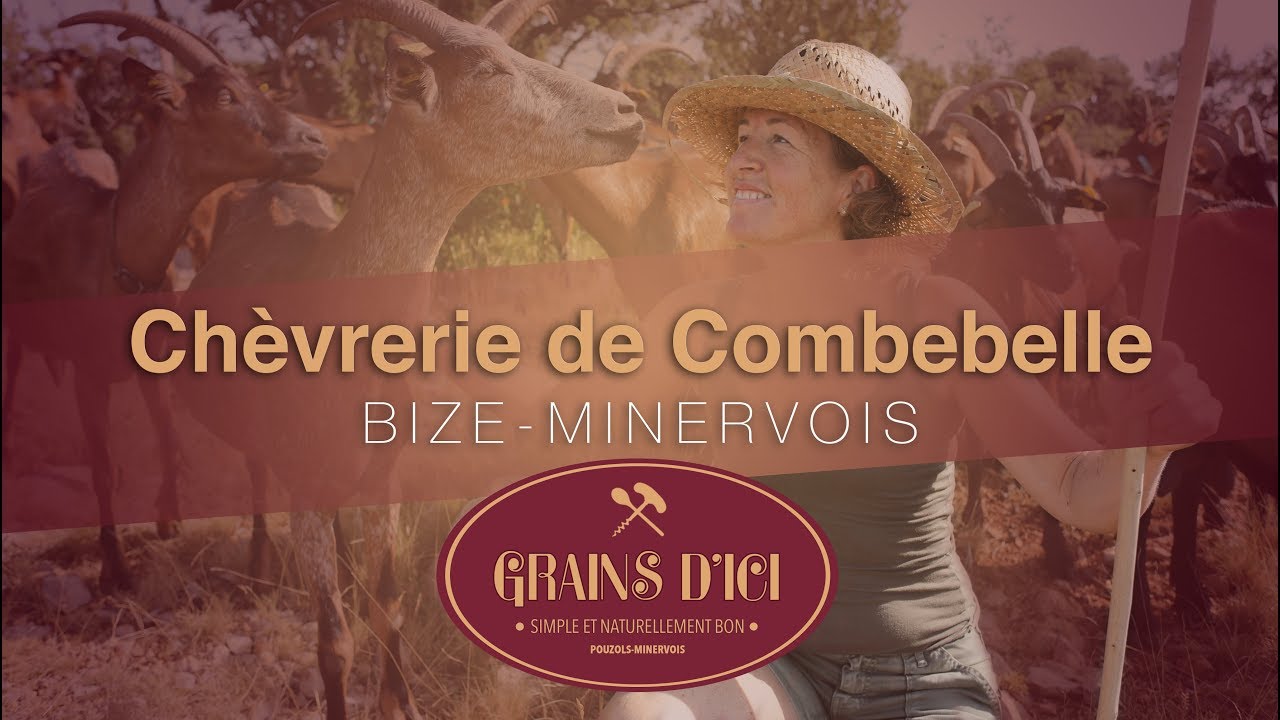 Grains d'ici à la rencontre de ses producteurs : La chèvrerie de Combebelle à Bize-Minervois