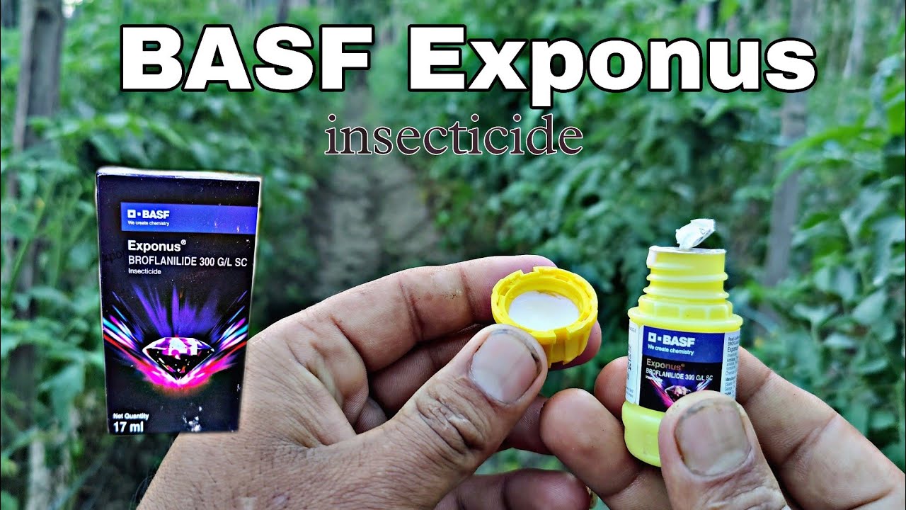 BASF exponus | broflanilide 300 G/L sc | contact brode spectrum insecticide | Praveen Thakur