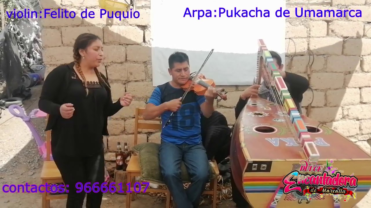 JARANA ARPA Y VIOLIN 2020/ DULCE ENCANTADORA DE MORCOLLA SUCRE,,,.