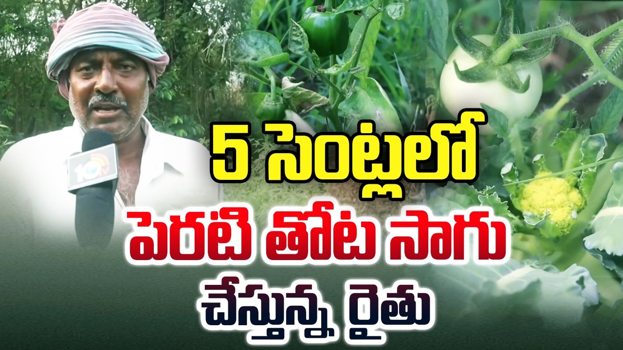 Farmer Success Story|Cultivating Backyard Garden for 5 Cents|5సెంట్లలో పెరటి తోట సాగు చేస్తున్న రైతు