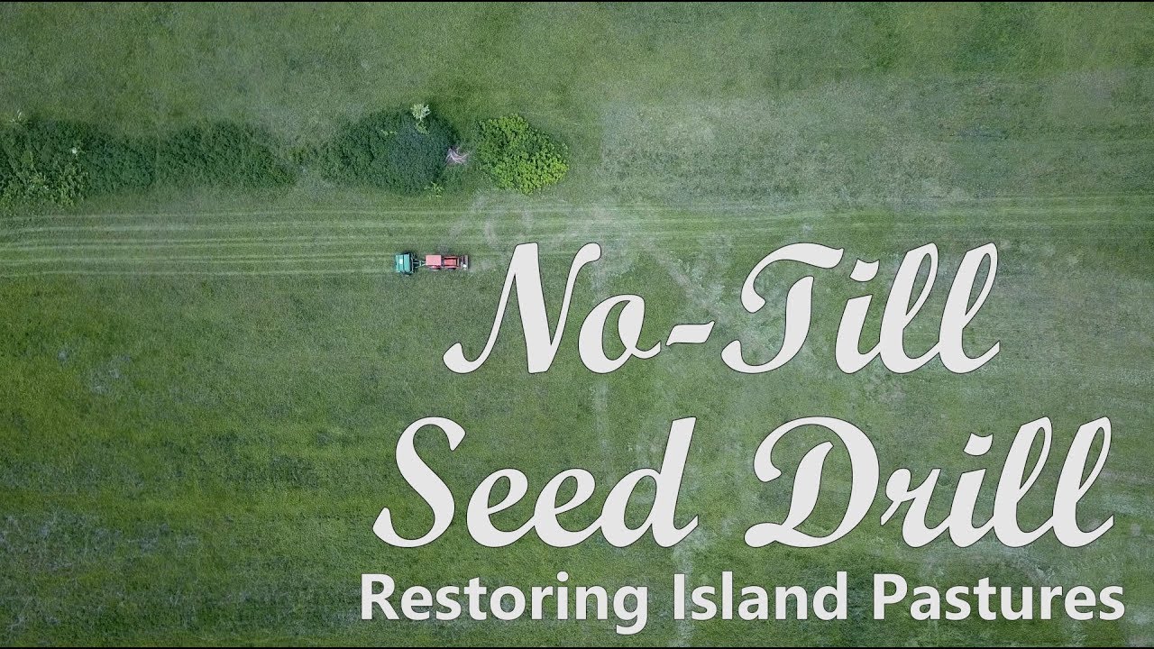 No Till Seed Drill - Restoring Island Pastures