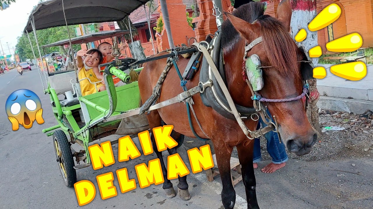 Serunya Naik Delman di Sore hari | Belajar Naik Kuda di Benteng Pancasila Mojokerto