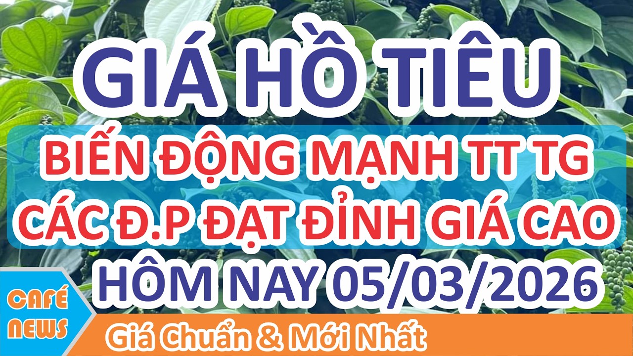 Gi&aacute; hồ ti&ecirc;u h&ocirc;m nay ng&agrave;y 05/03/2026 | Gi&aacute; Ti&ecirc;u Biến Động Mạnh TG & C&aacute;c ĐP Neo Mức Gi&aacute; Cao Trước Vụ