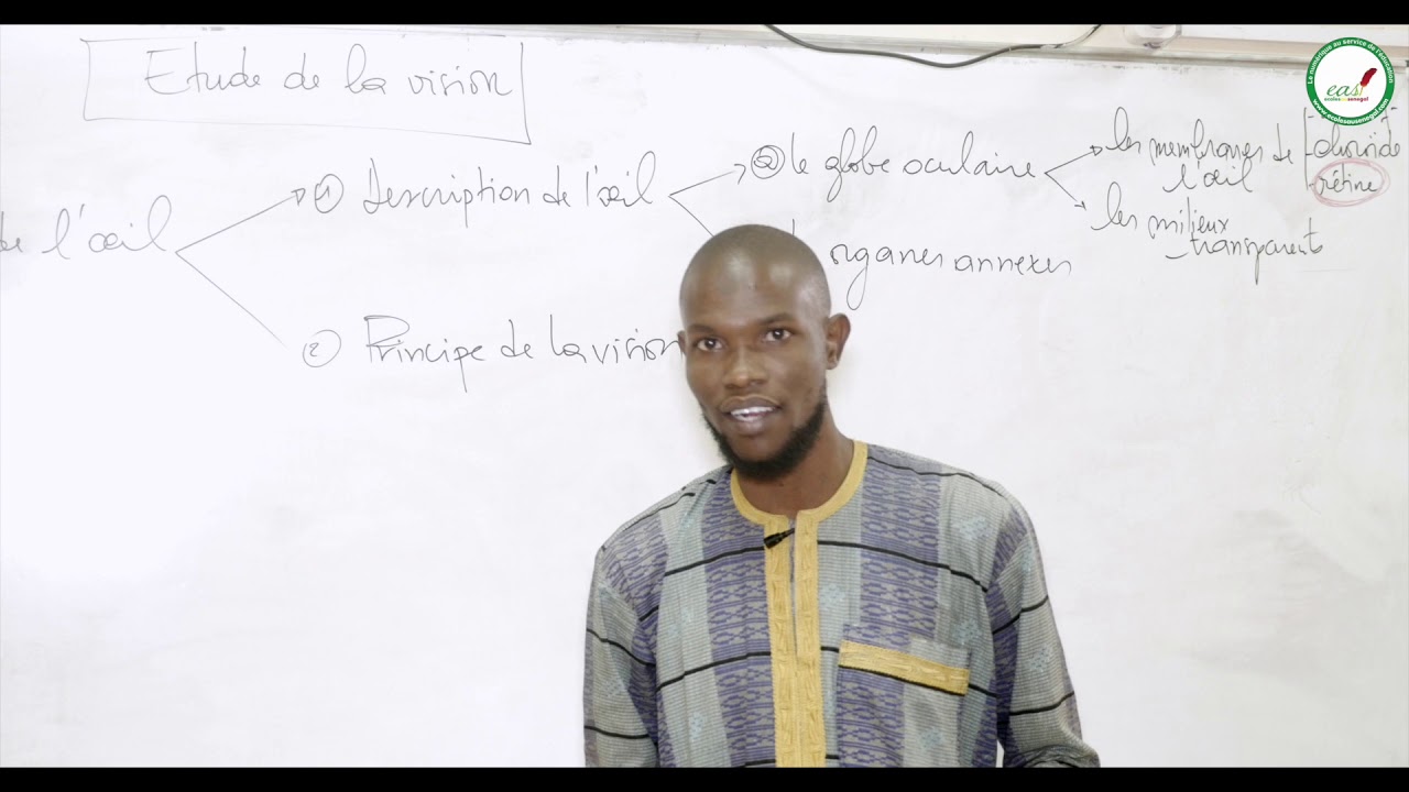 Cours - Troisième - SVT : Etude de la vision / Fonctionnement de l'oeil