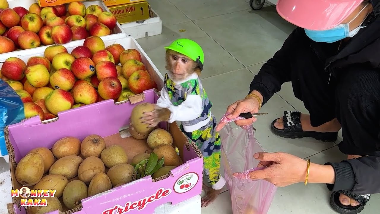 Mom and Monkey Kaka went to buy fruit.