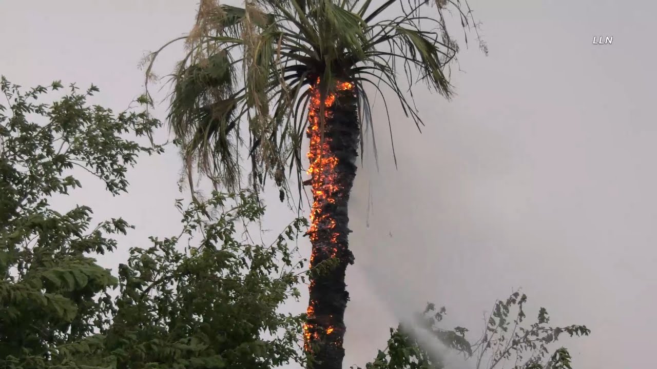 Phoenix Monsoon Lightning Causes Tree Fires & Power Outages - June 26, 2022