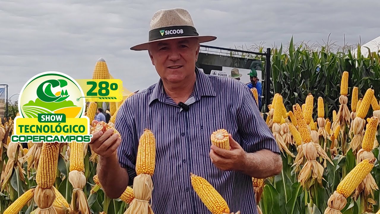 28º Show Tecnológico Copercampos tem 190 expositores ligados ao agronegócio