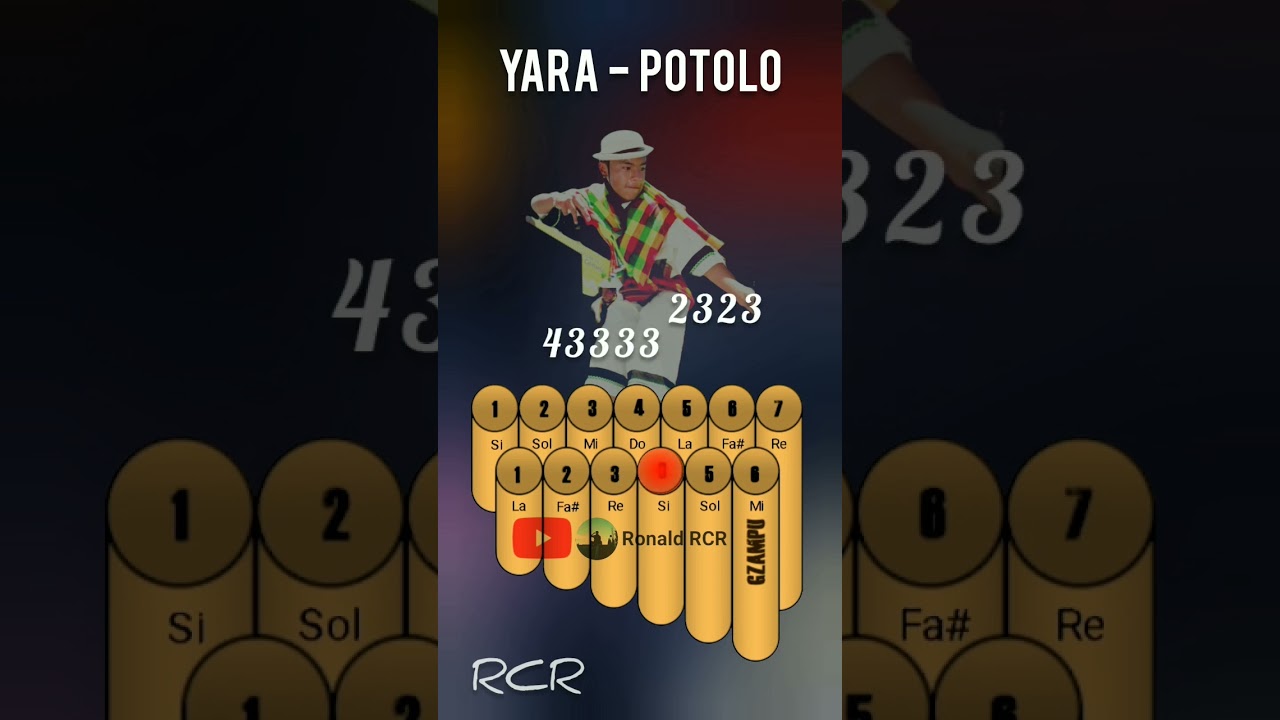 Potolo - Yara #potolo #yara #zampo&ntilde;a #ronaldrcr