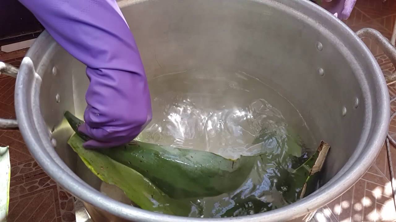 Como prepara penca - carne de res a la penca | Cocinando con angel