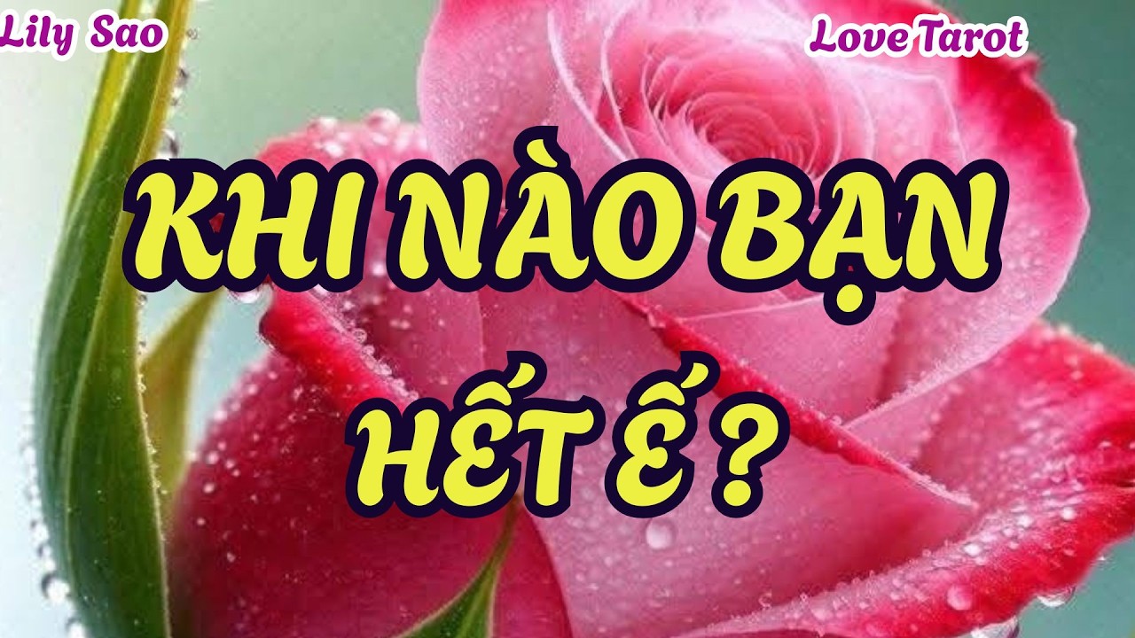 Tarot Tình Cảm | Khi nào bạn sẽ có người yêu? Thời điểm định mệnh đang đến gần.