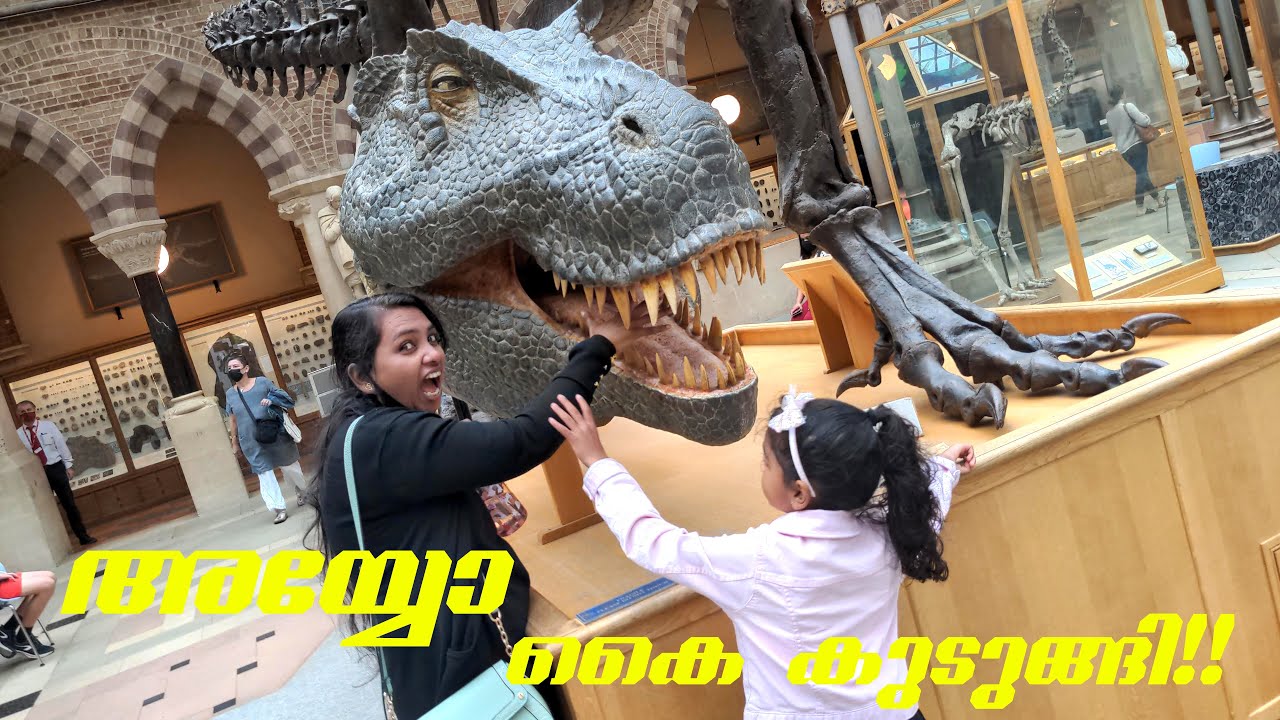 In Oxford University Museum of Natural History (4K) #oxforduniversity #oxford #uktravel
