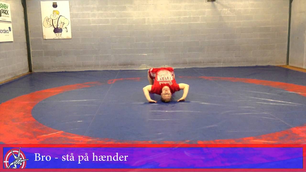 Bronze Mærket