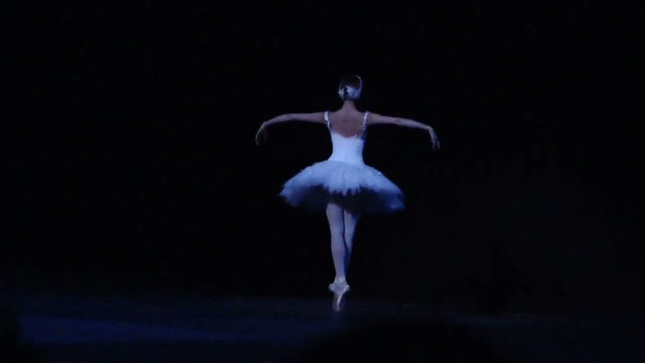 Alina Somova’s Exquisite Dying Swan | A Timeless Performance