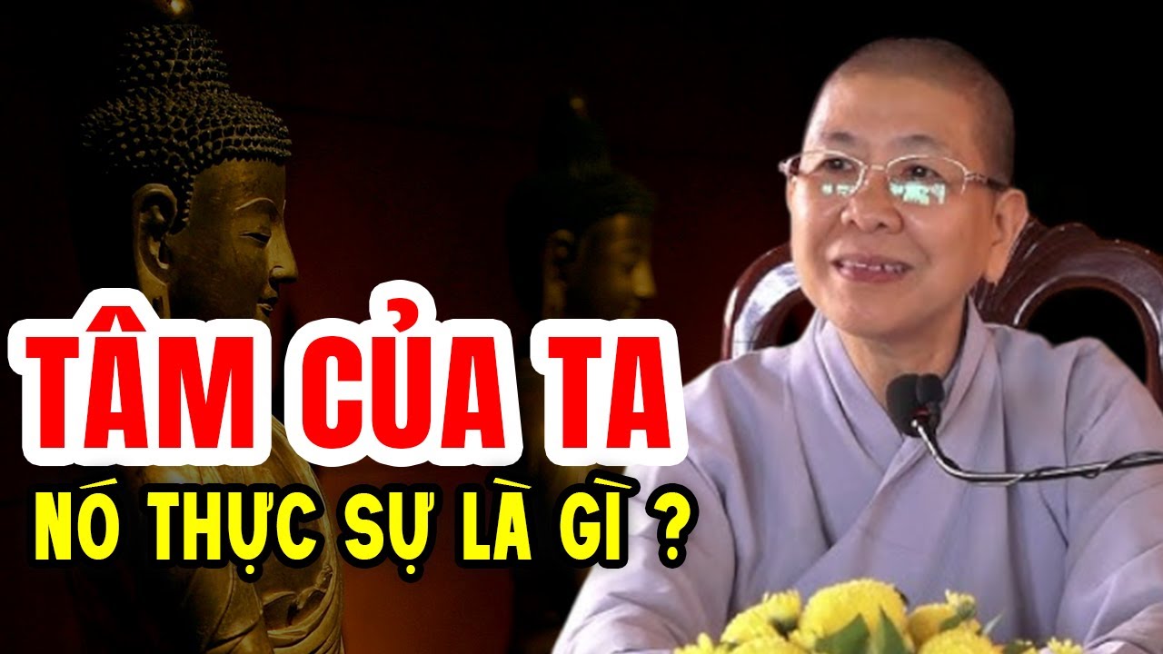 TÂM của ta, nó thực sự là gì ? Cách chữa lành tâm bệnh (Cực hay) - NT Hạnh Chiếu giảng