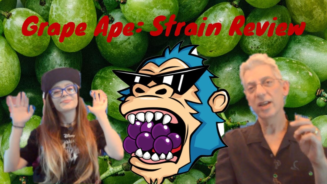Grapeape Cannabis Strain Review with MissMidas420x