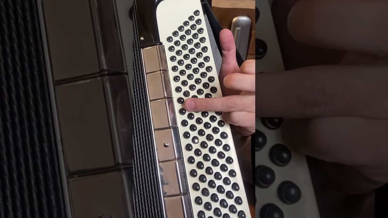 Como tocar o acordeon sem saber tocar nada #acordeon #acordeonista #sanfona #sanfoneiro #musica