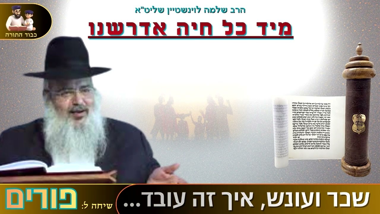 ''מיד כל חיה אדרשנו'' - הרב שלמה לוינשטיין שליט''א 👈🏻פורים