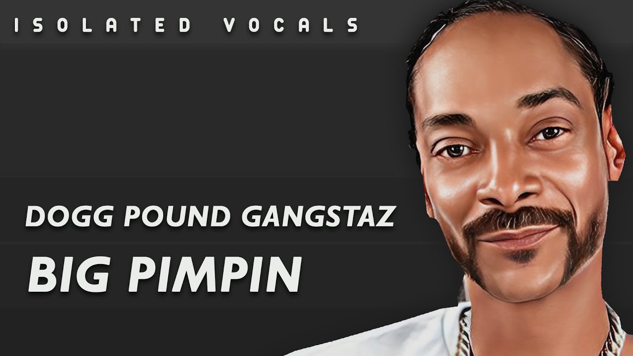 Dogg Pound Gangstaz - Big Pimpin (Acapella)