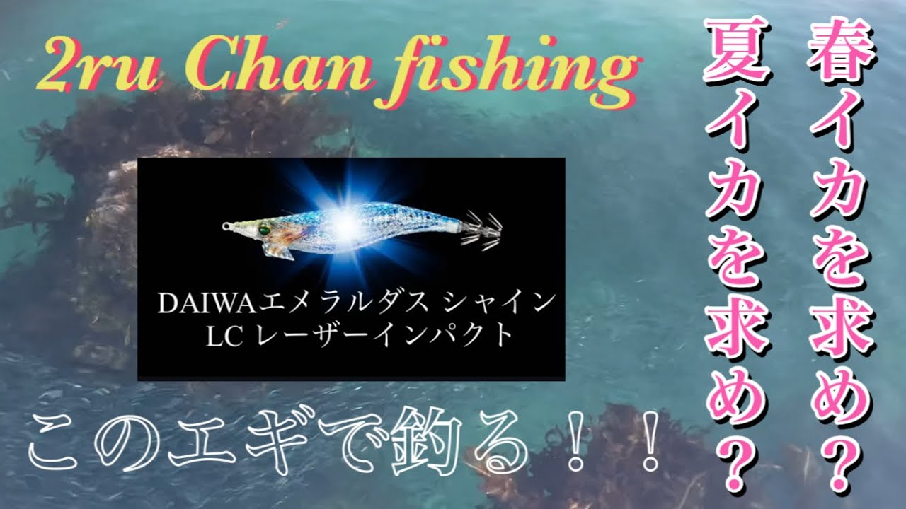 [エギング]春イカを🦑DAIWAエメラルダスシャインLCレイザーインパクトで釣る#4#エメラルダスシャインLCレーザーインパクト#アオリイカ #エギング #釣り #モンゴウイカ 