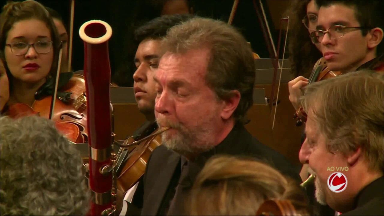 Jo&atilde;o Guilherme Ripper: Concerto a cinco