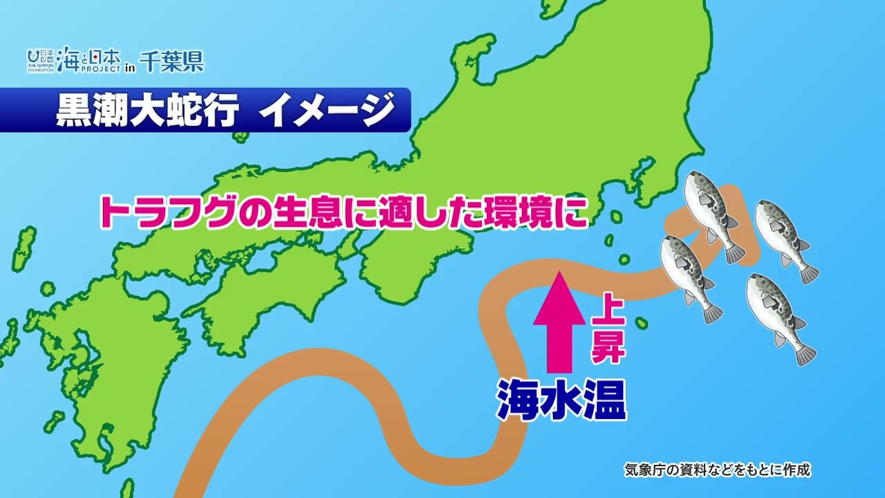 天然トラフグ豊漁！いすみの新名物へ