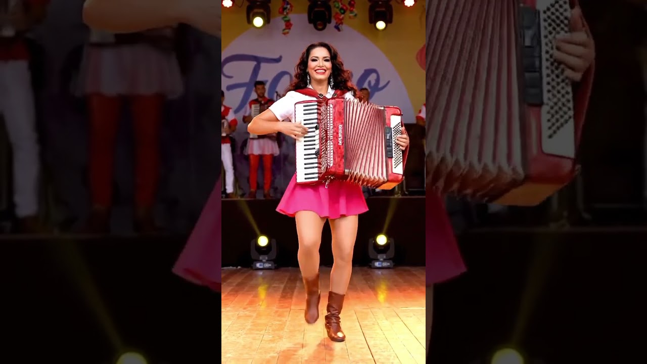 #entretenimento #music #acordeon #divers&atilde;o