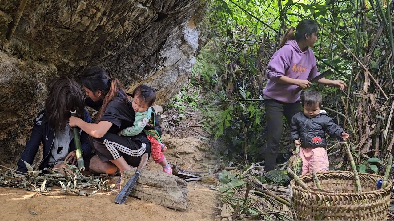 Full video of a single mother taking a wild pineapple and helping a strange man