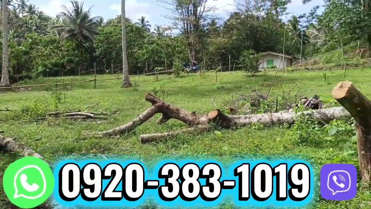 Lot#56 Magandang bakasyunan ito at investment 1has along cemented road