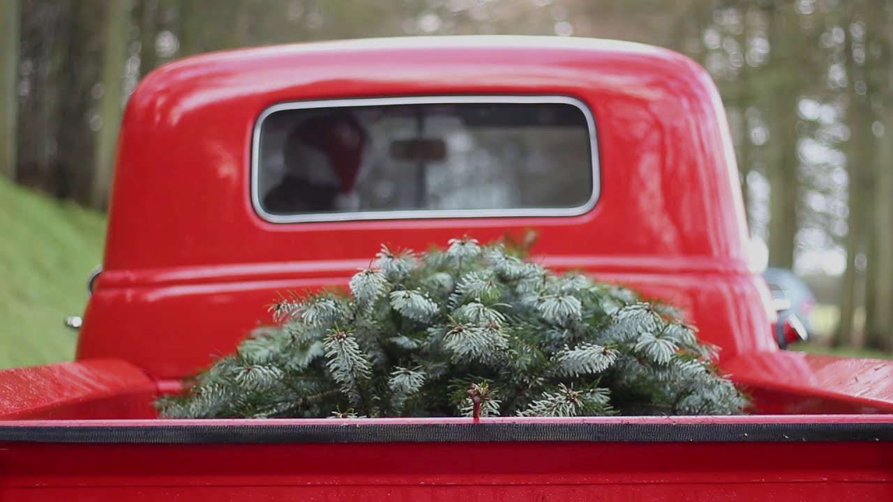 Christmas Tree Hunting in a 1950 GMC Pickup