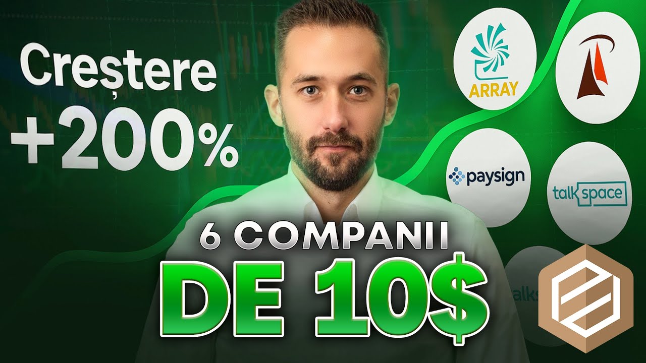 Analiza celor 6 companii, care se pot transforma peste noapte &icirc;n Palantir