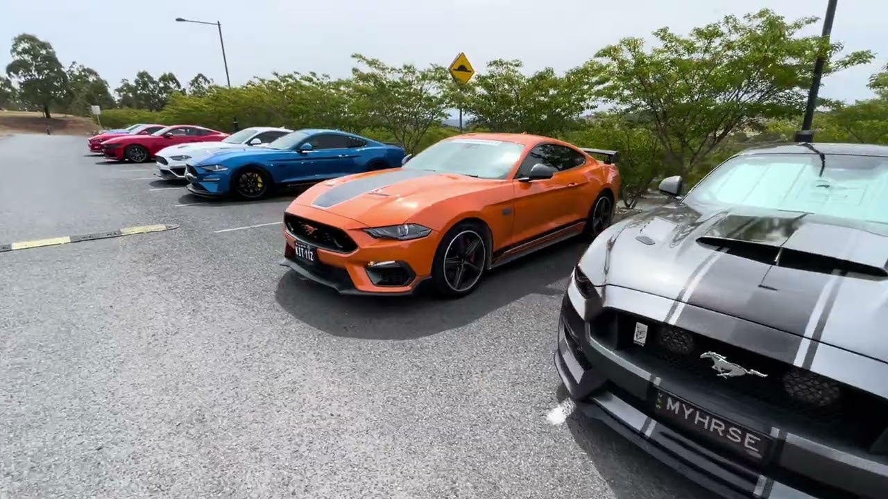 Mustang club meet and greet Canberra show
