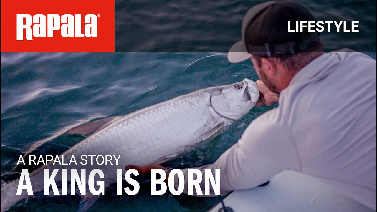 A King is Born:  A new film by Rapala® explores the passion behind tarpon fishing in SW Florida.