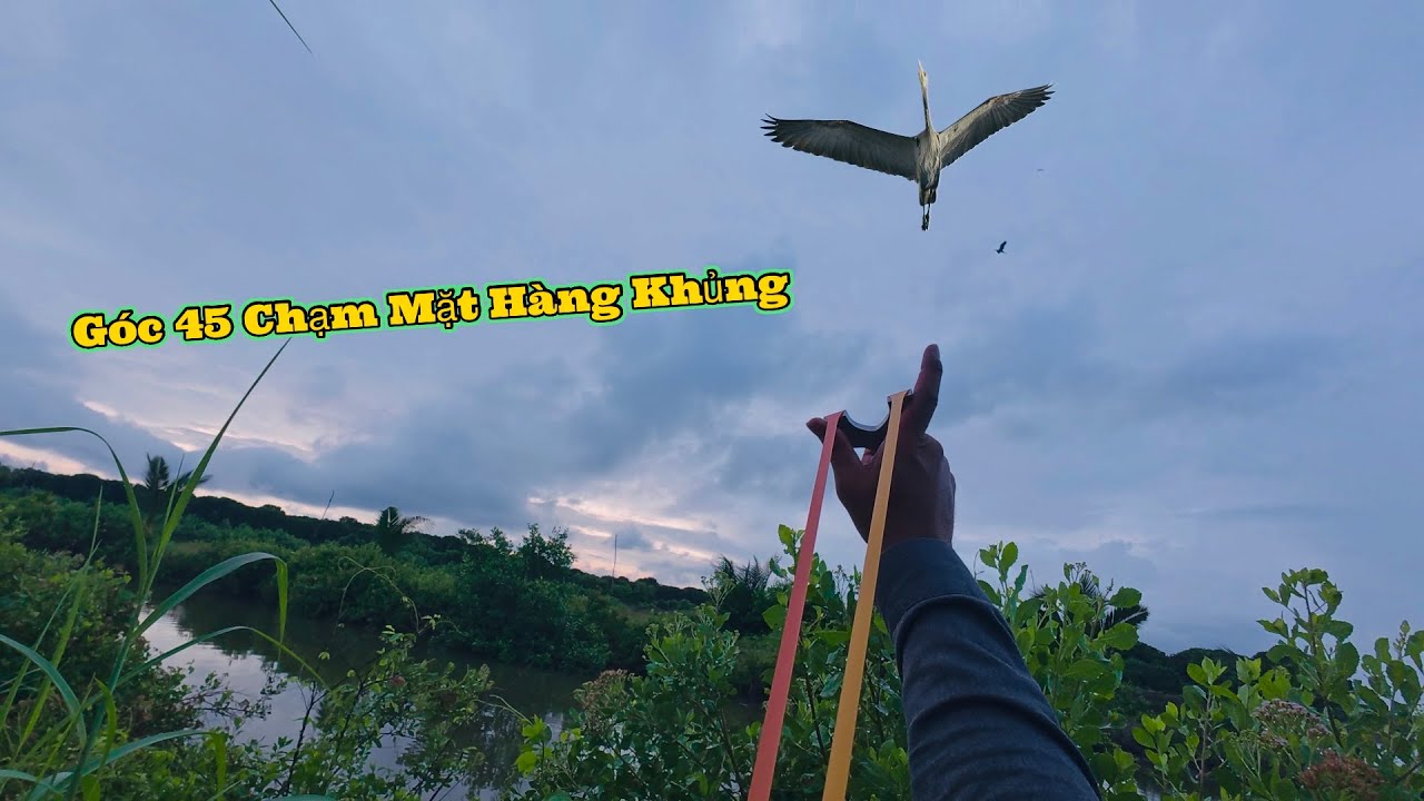 MÉT 72  - THUN M72PRO HẠ KHỦNG LONG BAY RƠI SIÊU ĐẸP MẮT NẤU LẨU ỚT SIÊU NGON