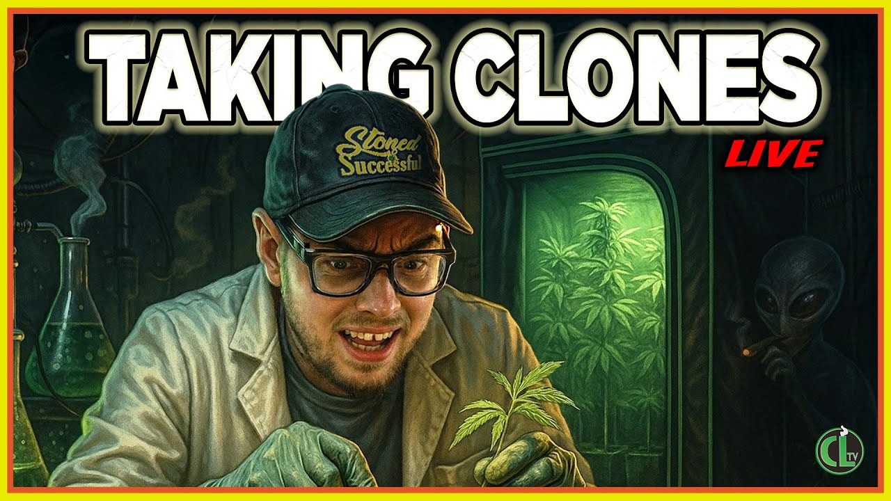 My Easy Cloning Guide For Overthinkers + First Look at Tray2Grow LIVE
