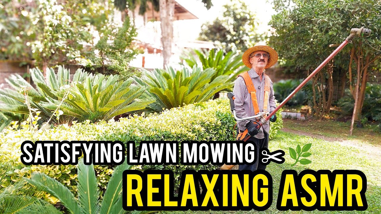 Satisfying Lawn Mowing in Our Peaceful Garden | Relaxing ASMR No Talking 🌿✂️
