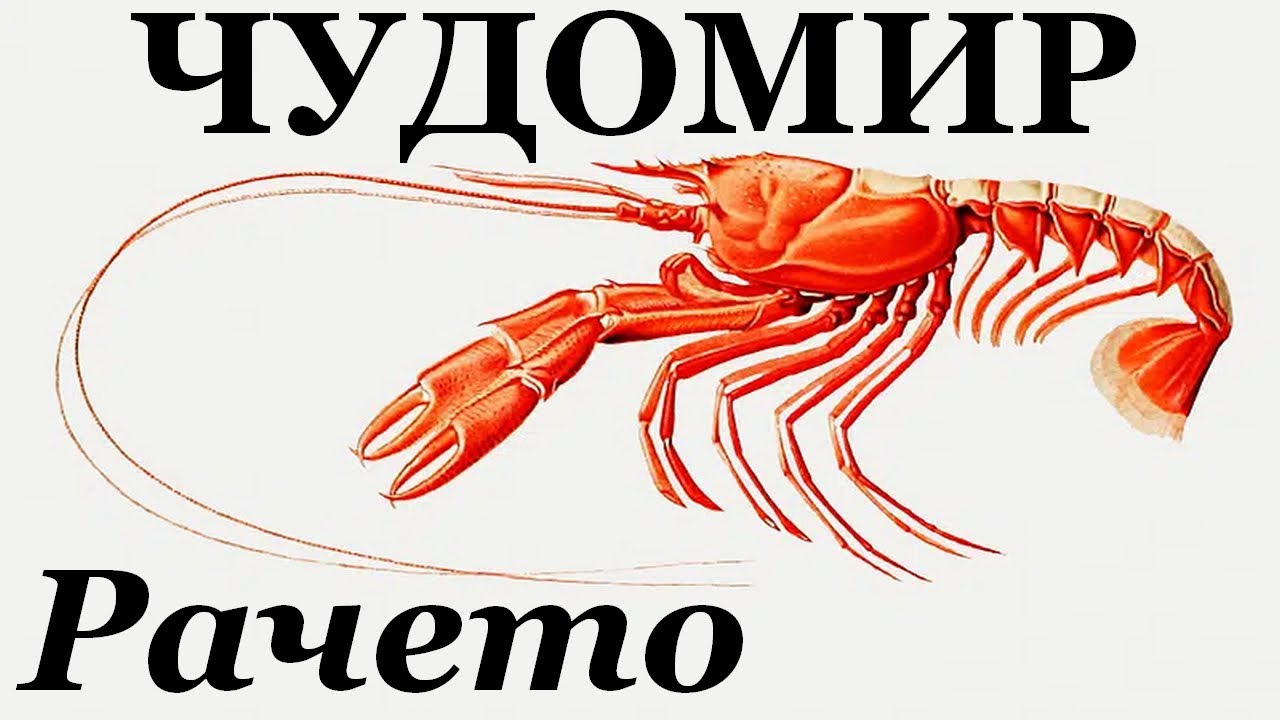 ЧУДОМИР: Рачето.