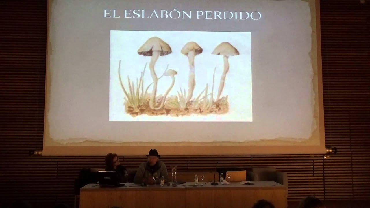 «Alquimia vegetal: las plantas maestras y la evolución de la conciencia», con Juan Plantas