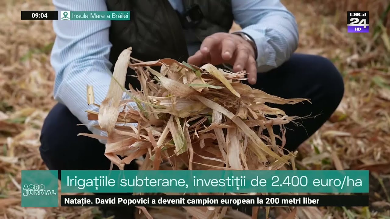 Irigațiile subterane, testate în Insula Brăilei. Recuperarea investiției în doar doi ani #Digi24