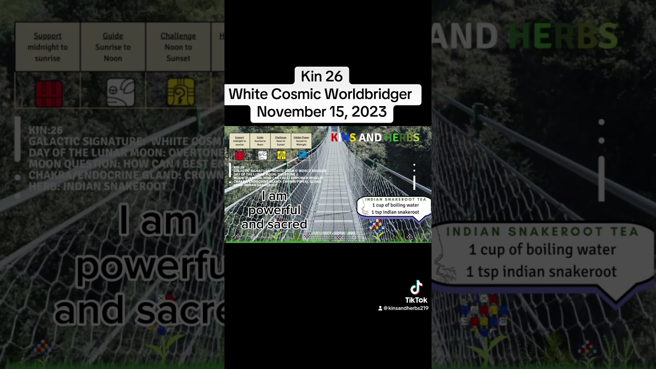 #lawoftime #timeisart #tzolkin #tzolkinmaya #144000 #moon #josearquelles #starseed #news