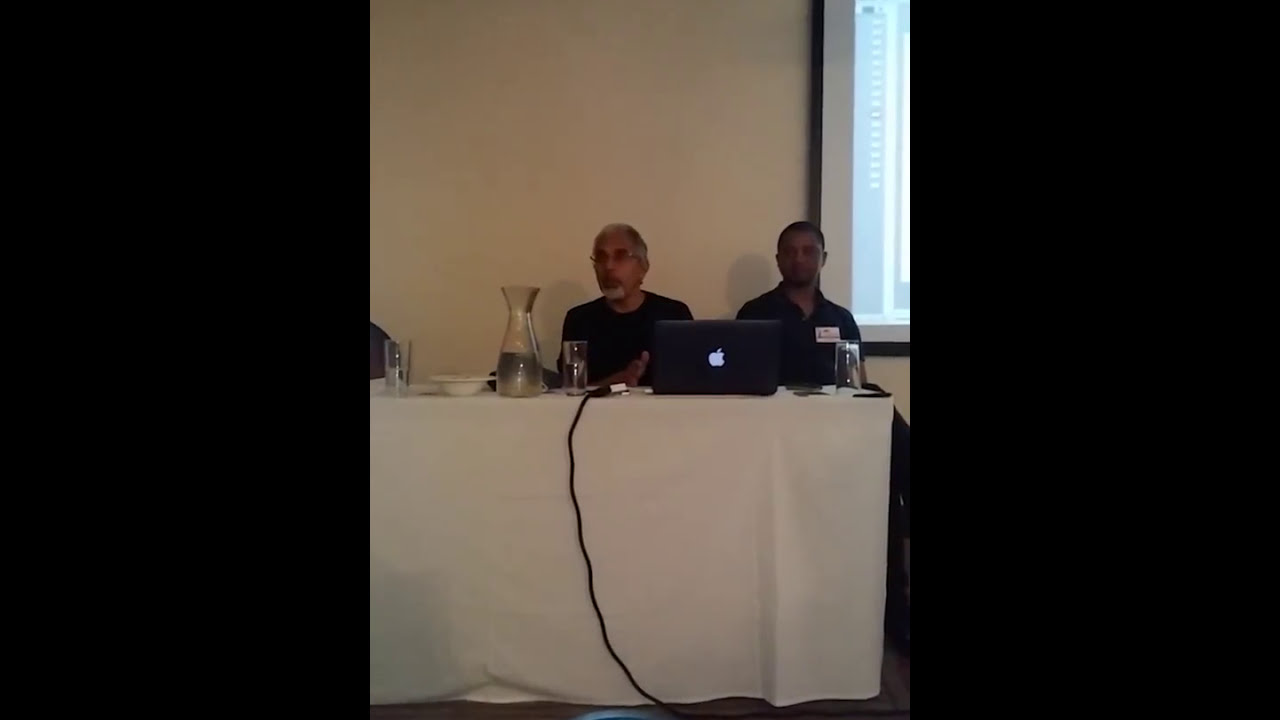 Tax & BEPs Seminar: Ivan Pillay and Yolisa Pikie