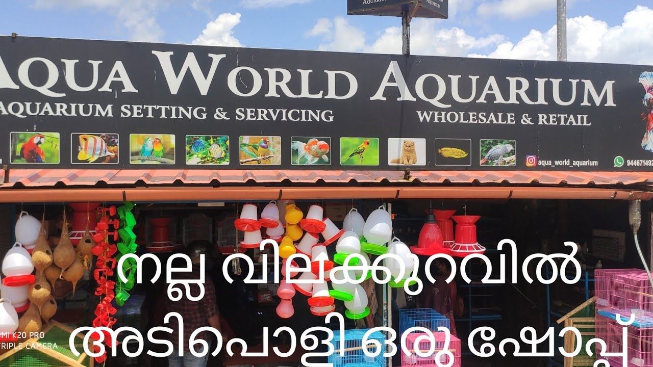 Pet Shop vlog  Kottayam നല്ല വിലക്കുറവിൽ