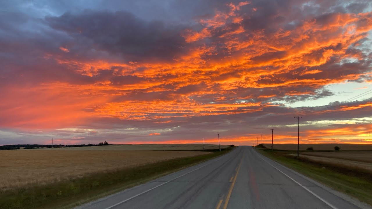 Northern Alberta 🇨🇦. WHEAT HARVEST 2022