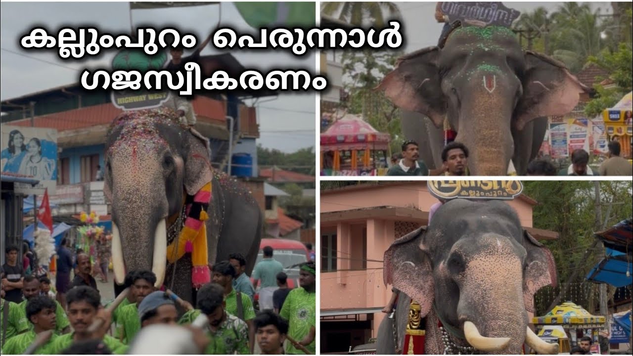 കല്ലുംപുറം പെരുന്നാൾ ഗജസ്വീകരണം 2025 😍 #kerala #thrissur #kunnamkulam #elephant #pooram #kottayam 