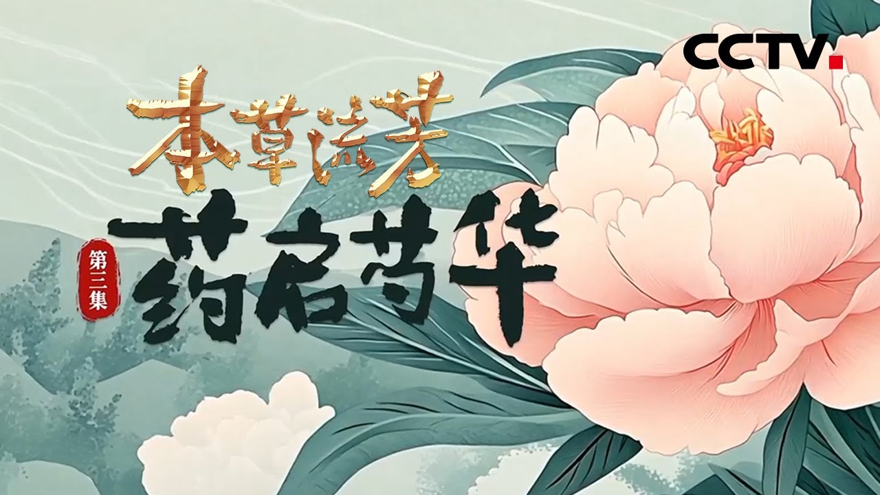 白芍和赤芍有何不同？揭开芍药“一种植物两味药”的神奇之谜《本草流芳》 第3集 药启芍华 | CCTV「本草流芳」
