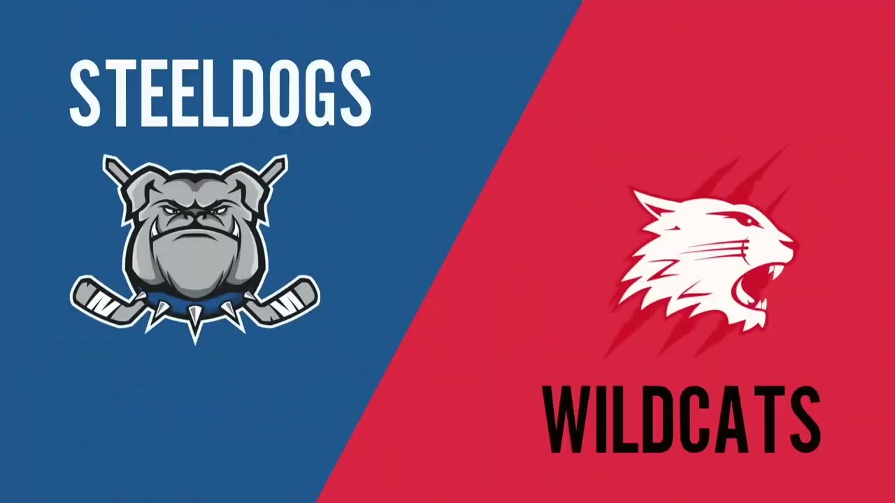 Sheffield Steeldogs vs Swindon Wildcats 17th April 2022 (NIHL playoffs)